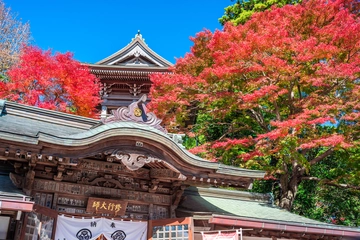 高尾山で紅葉を見るなら外せない、おすすめ絶景スポットを紹介!