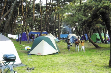 「大洗キャンプ場」の魅力を徹底解説!松林と海の幸が魅力的!