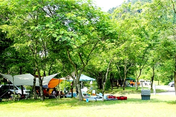 西俣キャンプ場を解説!川遊びや山菜採りが楽しめる!