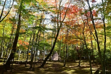 笛吹小屋キャンプ場を解説!夏は涼しく、秋は紅葉がきれい!