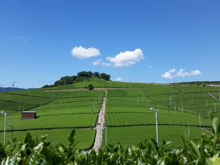福岡県八女市のキャンプ場、全5スポットを解説!