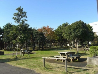 東京のおすすめオートキャンプ場3選!日帰りでデイキャンプもできる