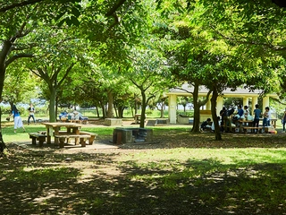 宿泊可能なキャンプ場も?気軽に楽しめる大田地域バーベキュー5選
