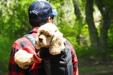 愛犬とアウトドアを楽しめるギアショップ「アウトテイル」。千葉に念願のキャンプ場もオープン!