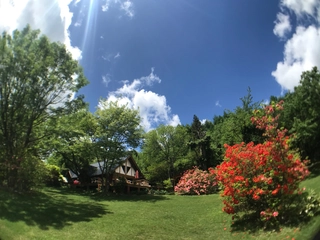 「ミヤシタヒルズ」で美しい大自然に囲まれて、キャンプを楽しもう！