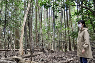 【パパ、キャンプ場作るってよ。】第2回「土地探し 運命の中編」。ついに、理想の土地？