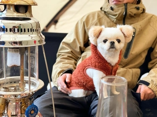 犬連れキャンパーに聞いたデビューのコツ!愛犬と自然の時間を共有できるギア&キャンプ場を大公開!