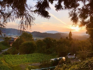 水。山。食。キャンプを通して自然の中に暮らす人々の文化を学ぶ「LIFE FARMING CAMP in NOZAWA-ONSEN」