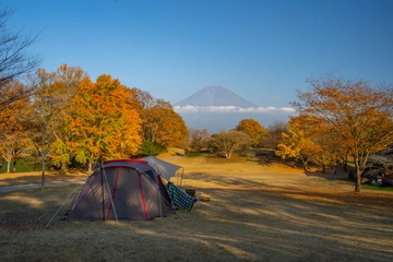 今年の秋は例年の10倍!?キャンプでも使える!花粉対策の最新グッズをピックアップ
