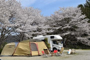 お花見キャンプが楽しめる!東海地方で桜が見られるキャンプ場を紹介