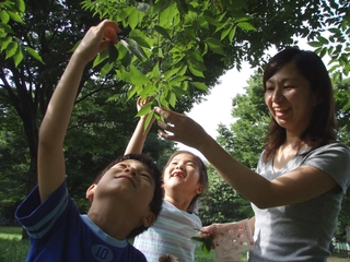 自然遊びのプロ、日本シェアリングネイチャー協会に聞いてみた！キャンプで楽しめる自然遊び7選！