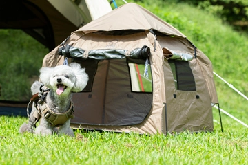 愛犬だってグランピングしたい!本格派「ペット用テント」がデビュー
