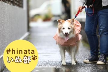 【梅雨の愛犬キャンプグッズ】キーワードは「泥汚れ対策」「速乾」「楽しませる」！