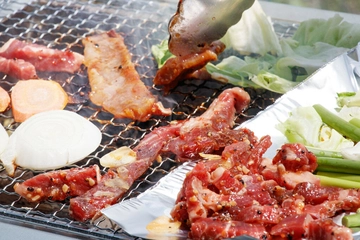 岡山県のバーベキュースポットおすすめ16選！レンタル可能で手ぶらでもOK