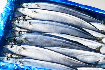 「アニサキス」これで怖くない？サンマの秋に知っておきたい知識と対策