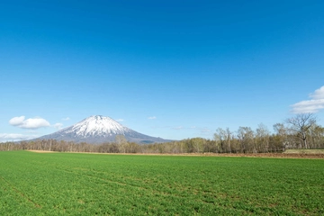 ニセコのおすすめコテージ15選！北海道の大自然を堪能！