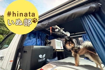 犬連れバンライファー3人に聞いた車中泊のノウハウとは！？