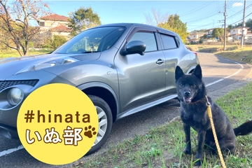 【実践！ゼロから始める犬連れ車中泊】その1.SUVでどう泊まる？