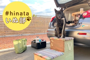 RVパークで甲斐犬と車中泊！【実践！ゼロから始める犬連れ車中泊 最終回】