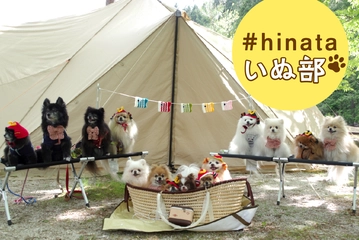 【ポメラニアンとキャンプ】吠えグセさえも愛しい！「モフモフ沼」にハマる人続出のワケ