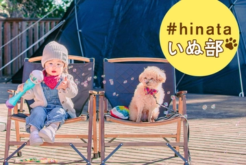 【トイプードルとキャンプ】賢くて甘えん坊なキミは“天才的なアイドル様”！