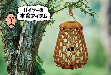 キャンプサイトに「キノコの女王」の妖しい灯りを！