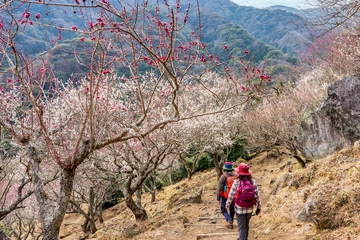 【達人が伝授】花とグルメが待っている！いま行きたい「お手軽・里山ハイキングスポット」＆「攻略法」