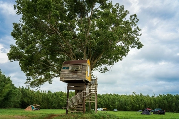 千葉のデイキャンプスポットおすすめ13選！焚き火や川遊びができる場所も