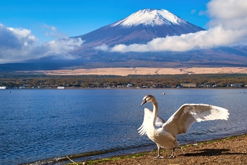 山中湖周辺のおすすめキャンプ場19選！知る人ぞ知る穴場キャンプ場も紹介