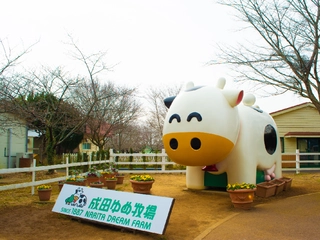 成田ゆめ牧場でキャンプしよう！女性や家族連れに人気の理由に迫る！