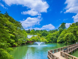 井の頭公園の魅力と楽しい過ごし方！桜とボートだけじゃない！【完全ガイド】