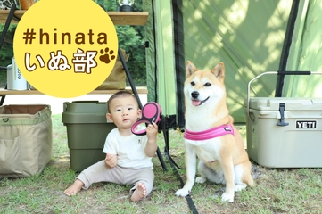 【柴犬とキャンプ】賢くて頼れる"ガードわん"とファミリーキャンプ！