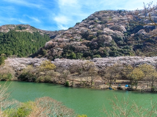 淡路島のキャンプ場おすすめ8選！ペット同伴OKなキャンプ場も！