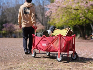 【2025年】キャリーワゴン(キャリーカート)おすすめ24選！容量別に人気モデルを紹介
