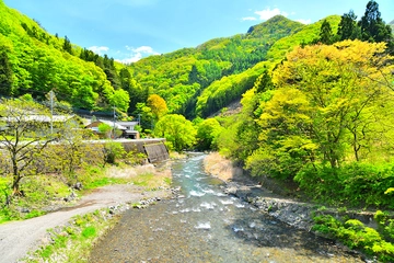 群馬県の川遊びスポットおすすめ13選！キャンプ場や無料の公園まで