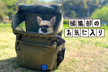 愛犬もお気に入り！お出かけグッズがまるっと収まるペット用キャリーバッグ