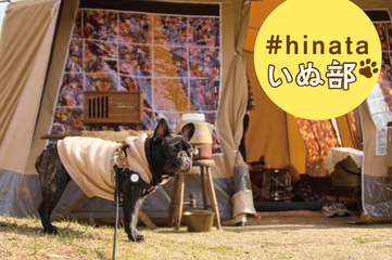 犬連れキャンパーにしかわからない！？「テントの選び方」BEST3