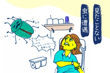 【今日のキャンプあるある】虫編