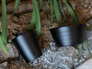 マットブラックの「Teon」誕生！越前漆器の技光る特別カラー