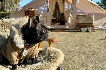 人気インフルエンサー3人に聞く！おすすめの犬用アウトドア専門ショップ＆ブランド