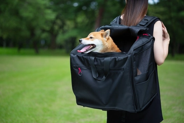 おすすめの中型犬用リュック12選！10〜15kgのワンちゃん向けを紹介