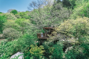 【7/19-21】森の音フェス2025開催！夏の自然と音に包まれる3日間