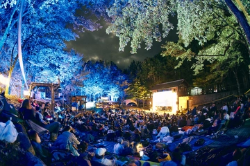 【9/27〜28】丘の向こうに森の映画祭2025開催！オールナイトで映画と自然を楽しむ格別体験