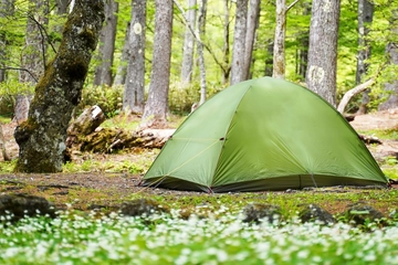 【テント設営】初めての人も必見！場所選び・立て方・ペグ選び・きれいに張るコツも