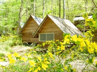 花の森オートキャンピアを徹底解剖！ファミリーキャンパーに最適！