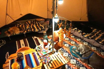 おしゃれキャンプのマストアイテム！今年のしまドルトンをゲットしてキャンプしよう