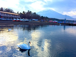 【体験レポ】人生で一度はやってみたい！ 山中湖のドーム船でワカサギ釣りをやってみた☆