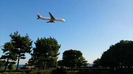 城南島海浜公園キャンプ場の魅力を徹底解説！飛行機が間近で見える！