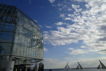 あの騒動からもうすぐ1年・・葛西臨海水族園のマグロ達に会いに行ってきました。