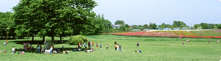 【全国版】快適バーベキューが楽しめる公園おすすめ13選
